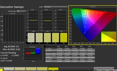 CalMAN: Saturation (calibrated)