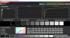 CalMAN Grayscale calibrated (target color space P3)