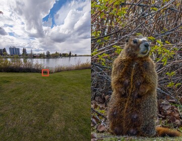 Oppo Find X9 Ultra 20x lossless zoom sample (right).
