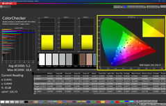 CalMAN - Color Checker (calibrated)