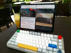 Brave browser in split screen showing Notebookcheck.net and Reddit pages