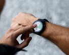 The Garmin Forerunner 955 can now be updated to software version 20.29. (Image source: Garmin)