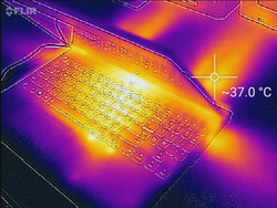 Thermal profile, side (Witcher 3)