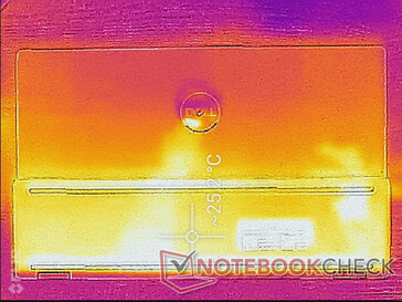 Surface temperature map (back)