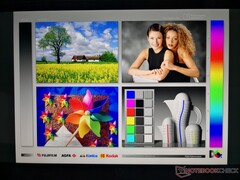 Wide IPS viewing angles. Colors and contrast shift only if viewing from extreme angles