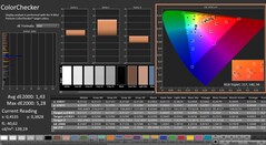 CalMAN: ColorChecker (calibrated)
