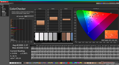 ColorChecker (DCI-P3 setting)