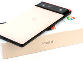 Google Pixel 6 and Pixel 6 Pro use the company's in-house Tensor SoC. (Source: Notebookcheck)