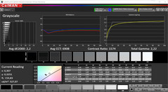 CalMAN Grayscale (target color space P3)