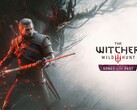 Official cover art for The Witcher 3: Songs of the Past expansion.