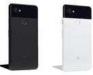 Pixel 2 XL in "Just Black" and "Black & White" options. (Source: Droidlife)
