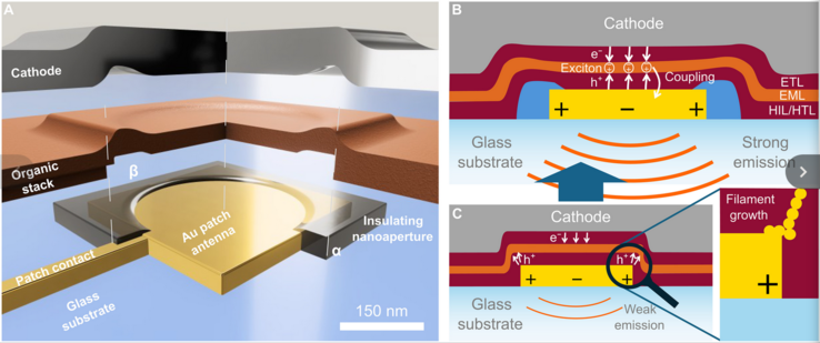 (Image Source: Science.org)