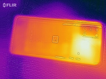 Heat map - Back