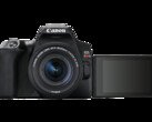 The new Canon EOS Rebel SL3. (Source: Canon)