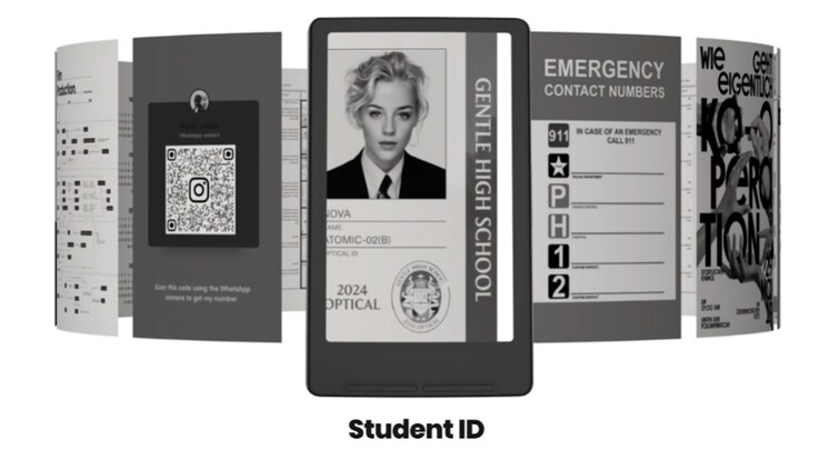 Boarding passes can also be displayed. (Image source: Xteink)