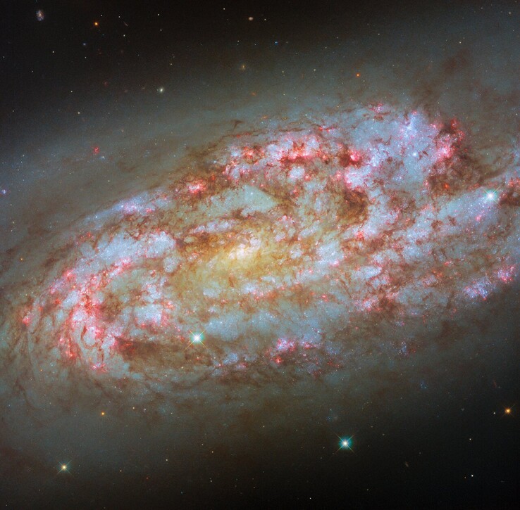 Hubble image of NGC 1792 (Image source: ESA/Hubble, NASA, D. Thilker, F. Belfiore, J. Lee, and the PHANGS-HST Team)