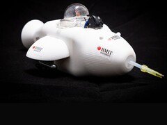 The Electronic Dolphin