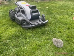 The Airseekers Tron reliably detected our hedgehog dummy in the test.