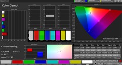 CalMAN sRGB color space – natural