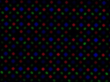 Galaxy S24 Ultra subpixel array at 10% brightness. (Source: erodeloeht on Reddit)