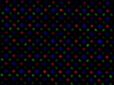 Galaxy S24 Ultra subpixel array at 10% brightness. (Source: erodeloeht on Reddit)
