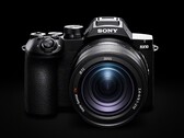 The Sony RX10 V offers a 25x optical zoom.