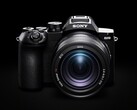 The Sony RX10 V offers a 25x optical zoom.