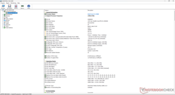 Intel Core i5-13500HX HWInfo summary