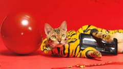 A &#039;tiger&#039; with a RedMagic phone. (Source: RedMagic)