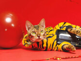 A 'tiger' with a RedMagic phone. (Source: RedMagic)