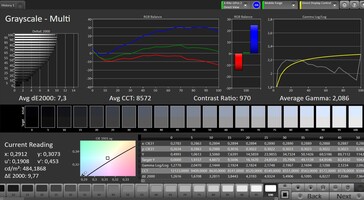 CalMAN: Grayscale - sRGB target colour space