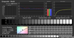 CalMAN: grayscale (calibrated)