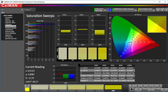 CalMAN: Color Saturation – calibrated