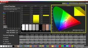 ScreenPad CalMAN ColorChecker (DCI-P3 target color space)