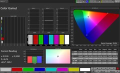 Internal display: Color Gamut (Profile: Professional, Target color space: sRGB)