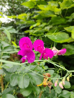 Photo taken using main camera