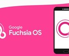 Google Fuchsia OS is indeed a thing, but may not be the future after all. (Source: Dignited)