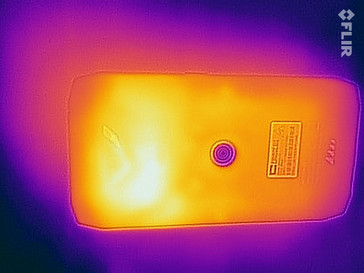 Heatmap back