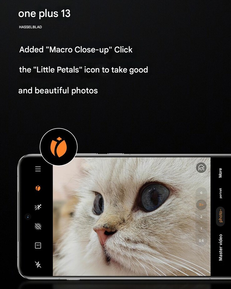 The "macro close-up" feature (Image source: OnePlus - machine translated)