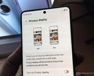 Samsung's Privacy Display can now work in PiP mode.