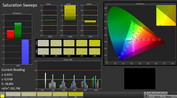 CalMAN: color saturation