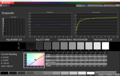 CalMAN Grayscales (after calibration)
