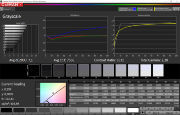 CalMAN grayscales (sRGB target color space)