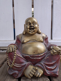 Photo from the selfie camera