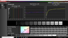 CalMAN: Grayscale (calibrated)