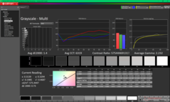 Grayscale before calibration