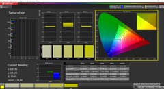 CalMAN Saturation calibrated