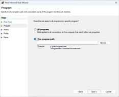 Enter the file path of UplayWebCore.exe