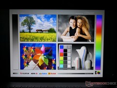 Wide IPS viewing angles for main display. Contrast and colors shift slightly if viewing from extreme angles