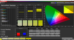 CalMAN Saturation (sRGB target color space)